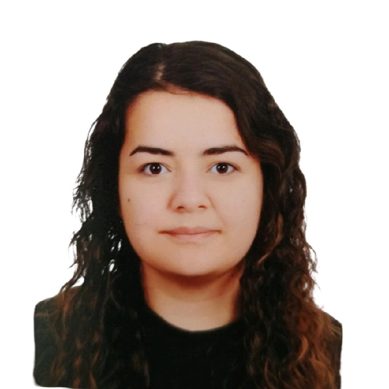 1748267965321.jpg (60 KB)